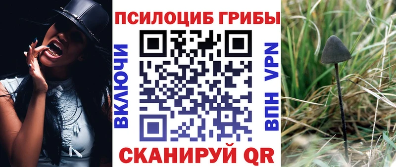 Псилоцибиновые грибы GOLDEN TEACHER  Купить закладки  Челябинск 
